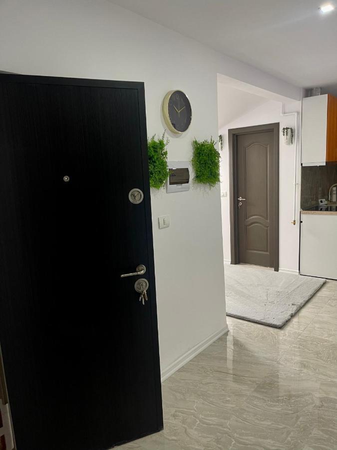 Cozy Apartament With 2Rooms Timisoara Luaran gambar